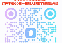 实测分享“白金岛跑胡子辅助器”分享装挂技巧步骤